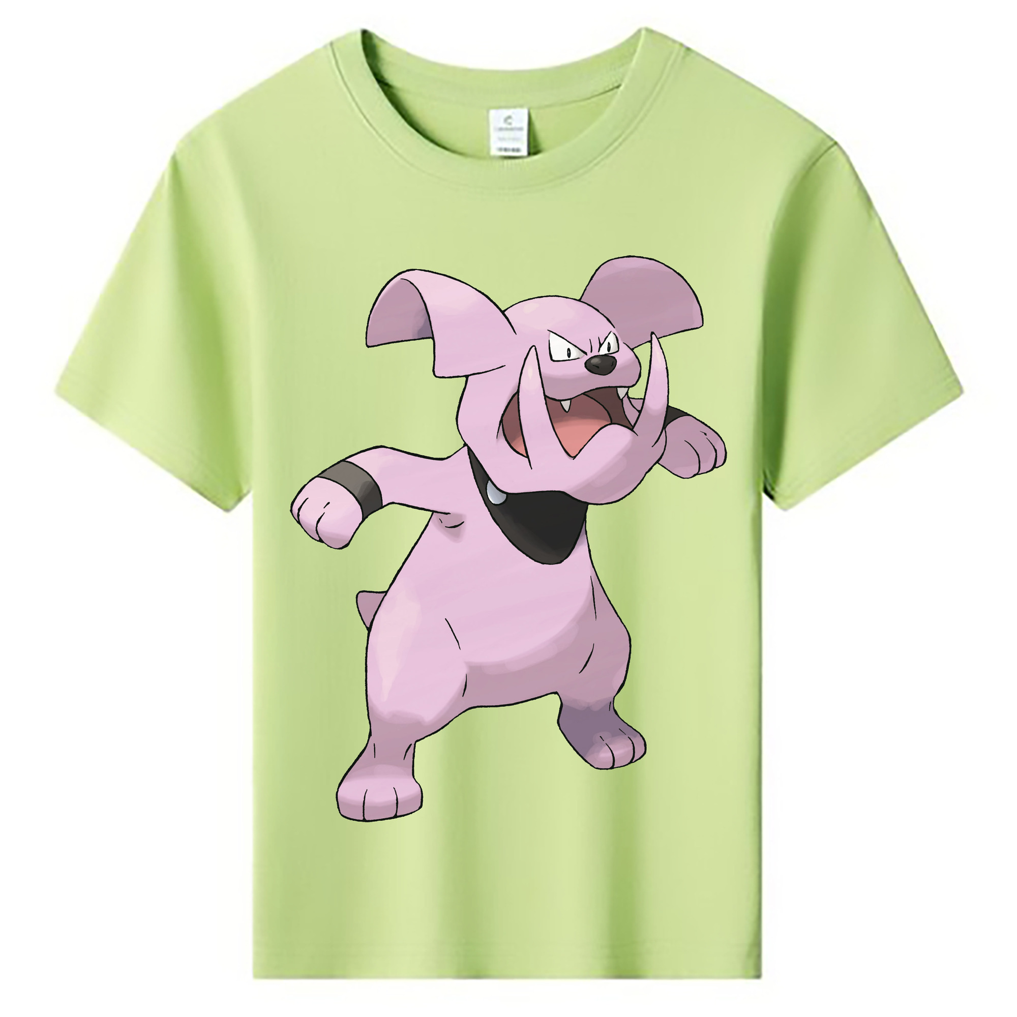（画像用） ポケットモンスター Pokémon 綿100％キッズTシャツ（フロントプリント）